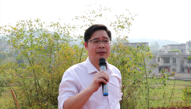 有关于千亩茶园:太平狮山六堡茶种植示范基地的相关信息(2)
