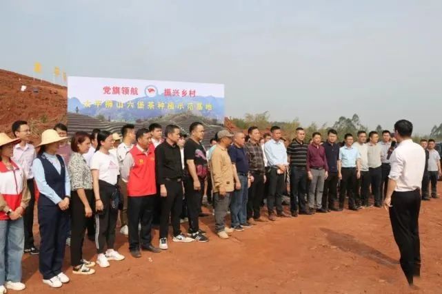 有关于千亩茶园:太平狮山六堡茶种植示范基地的相关信息