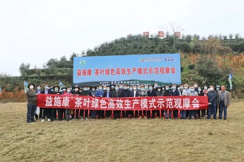 关于福建省茶叶绿色高效生产模式示范观摩会在点头镇江美村生态茶园召开的消息