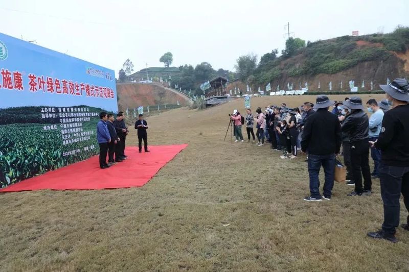 关于福建省茶叶绿色高效生产模式示范观摩会在点头镇江美村生态茶园召开的消息(1)