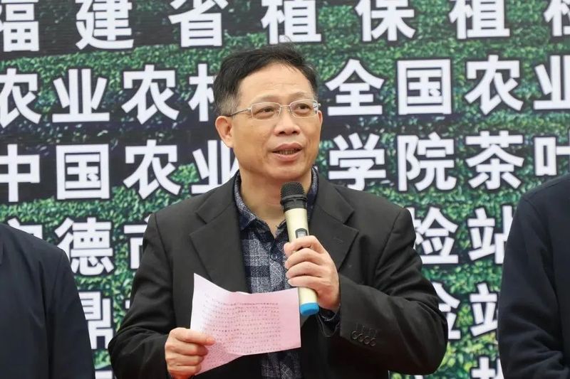 关于福建省茶叶绿色高效生产模式示范观摩会在点头镇江美村生态茶园召开的消息(2)