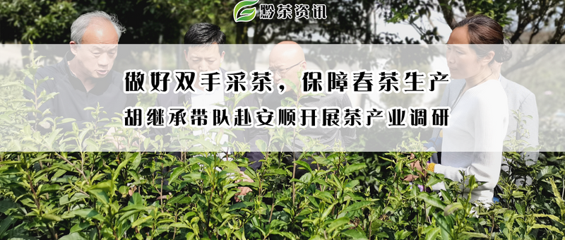 有关于做好双手采茶，保障春茶生产 胡继承带队赴安顺开展茶产业调研的资讯