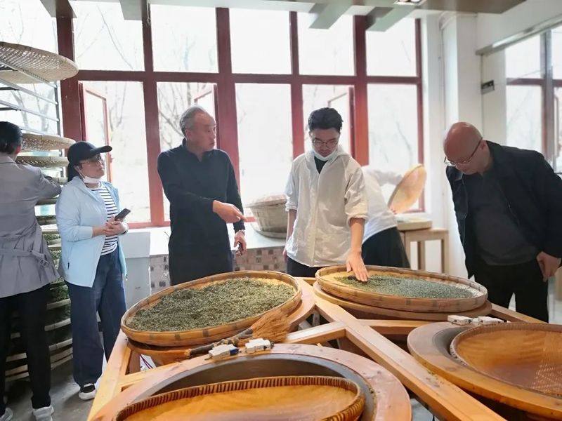 有关于做好双手采茶，保障春茶生产 胡继承带队赴安顺开展茶产业调研的资讯(3)