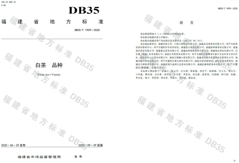 关于白茶品种、繁育、栽培管理技术你了解多少？专家解读来啦！的最新消息(3)