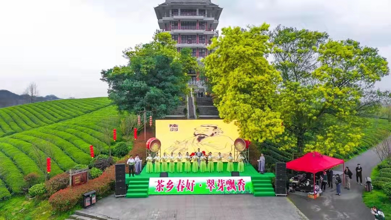 有关于湄潭：茶乡春好 翠芽飘香的相关内容