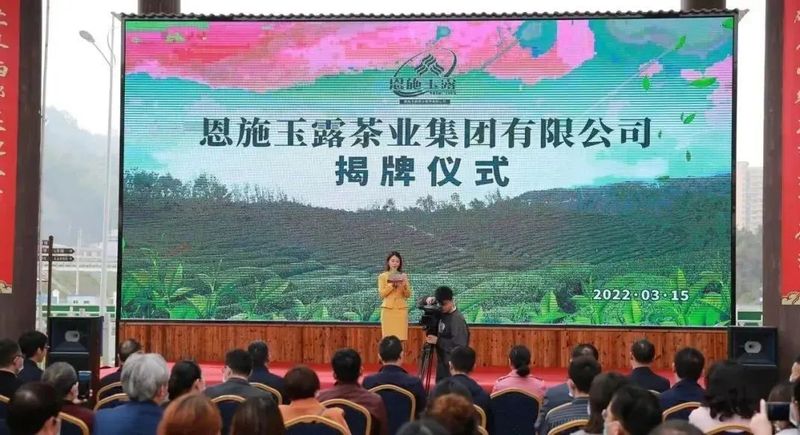 关于一周茶事： 西湖龙井茶正式开采；福茶网入选央视强农品牌的相关内容(5)