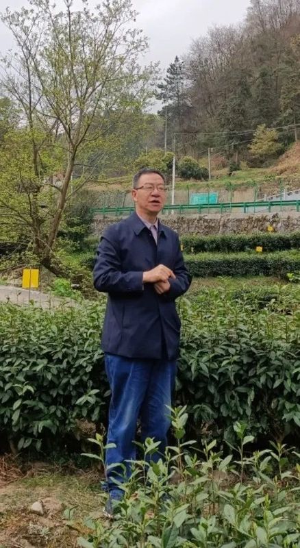 有关于春茶生产正当时 技术服务到茶企——安康市农业技术推广中心 安康市茶业协会开展春茶开园技术培训活动的信息(2)