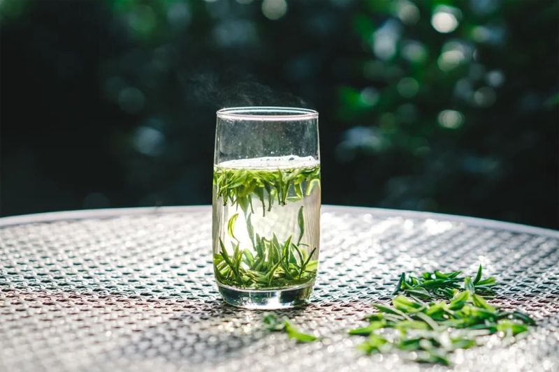 关于“三茶”融合之景宁实践的最新消息(9)