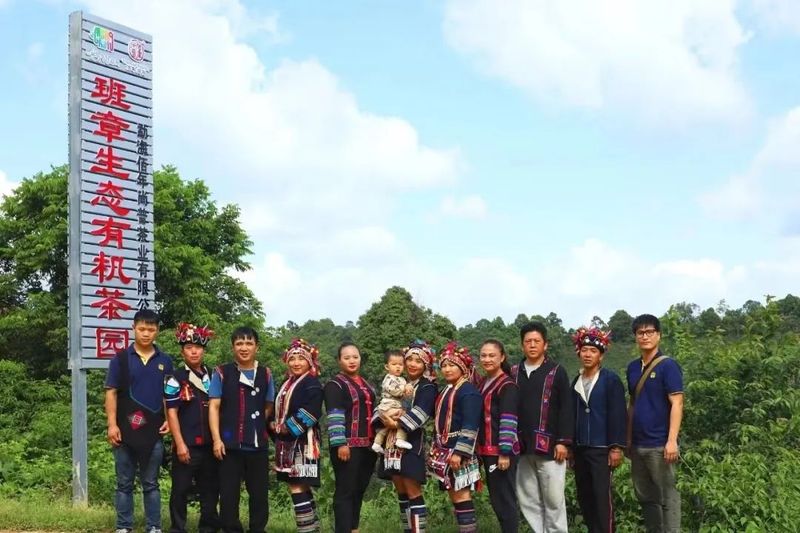 关于勐海茶企显担当 助推乡村振兴 增进民族团结进步的信息(2)