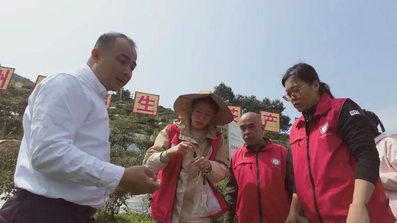 关于乡村科技特派员一线服务茶产业发展的相关内容(2)