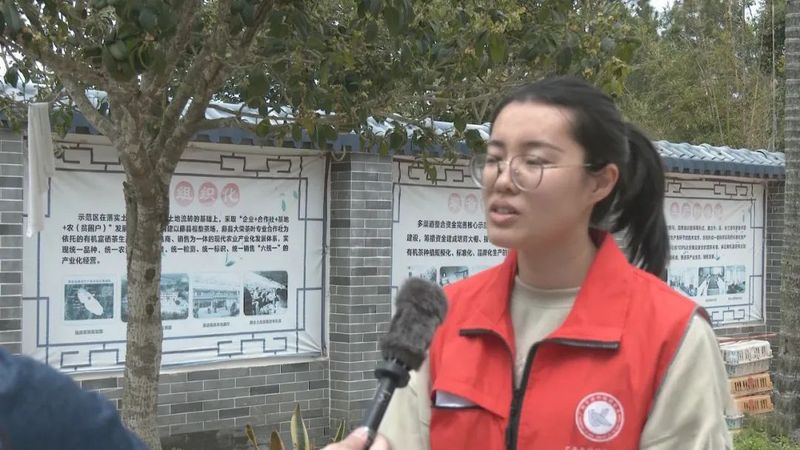 关于乡村科技特派员一线服务茶产业发展的相关内容(4)