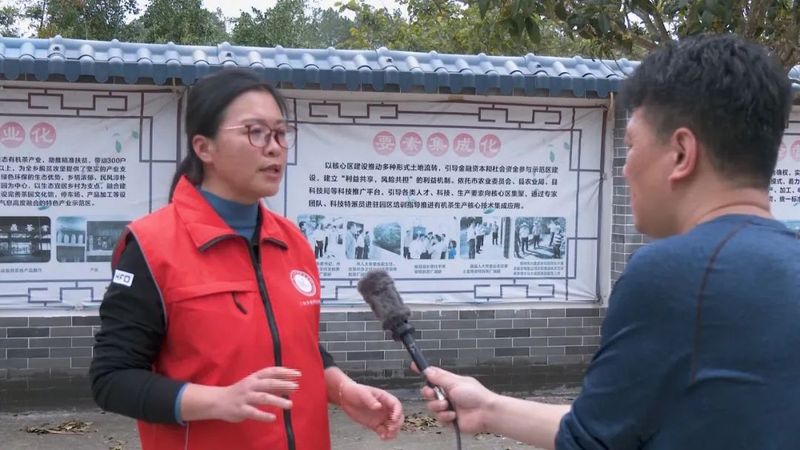 关于乡村科技特派员一线服务茶产业发展的相关内容(6)