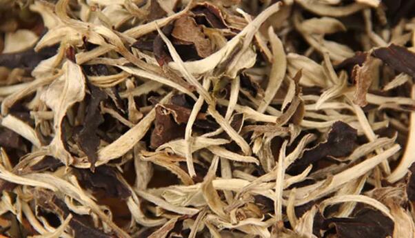 福鼎白茶怎么煮