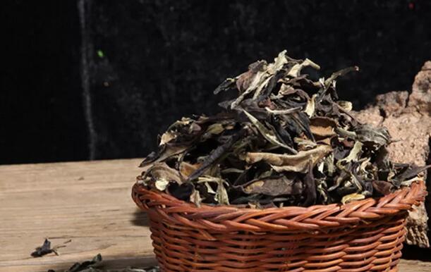 福鼎白茶怎么煮(1)