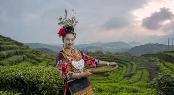 关于贵州丹寨：认领茶园认出一个茶产业的相关信息