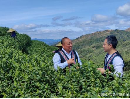关于浙江传媒学院助力新联村打造文旅新景致的资讯(1)
