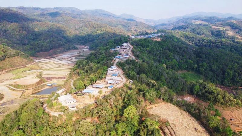 关于勐海贺建村:以茶产业谱写生态“致富经”的资讯(6)