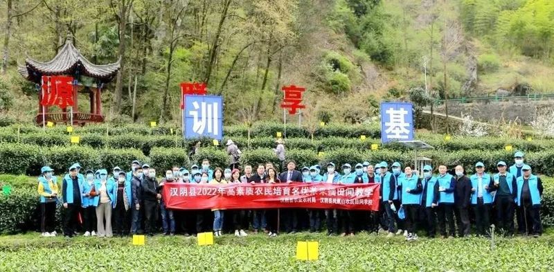 关于汉阴：茶叶专家“零距离”培训 助推茶产业发展的资讯(4)