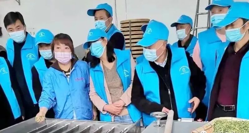 关于汉阴：茶叶专家“零距离”培训 助推茶产业发展的资讯(2)