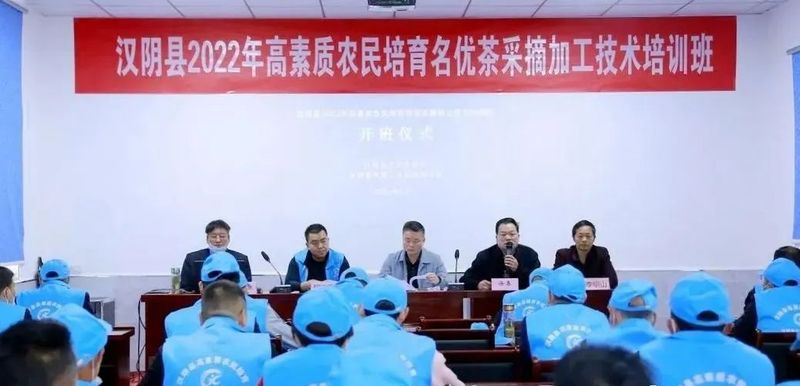 关于汉阴：茶叶专家“零距离”培训 助推茶产业发展的资讯