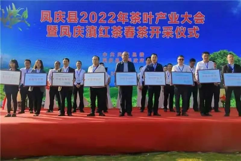 有关于临沧春茶季:一叶一春 凤庆春茶开采的相关信息(4)