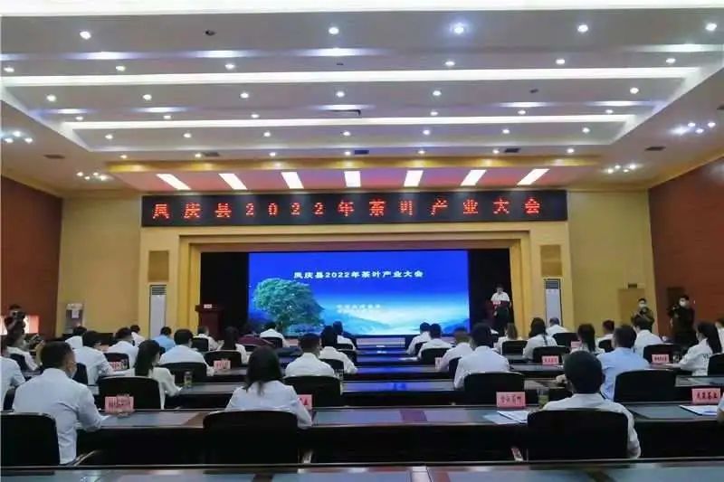 有关于临沧春茶季：春茶开采又发布技术标准，凤庆滇红茶抱团发展走进“春天里”的信息(1)