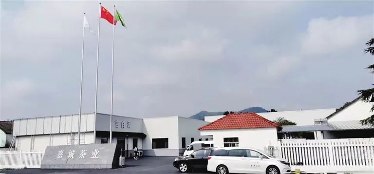 有关于吉白源：历经千帆，归来仍少年的相关内容(5)