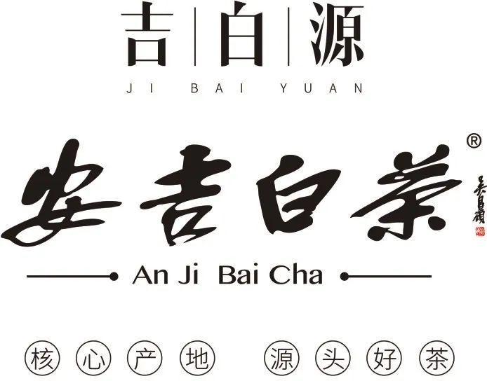 有关于吉白源：历经千帆，归来仍少年的相关内容