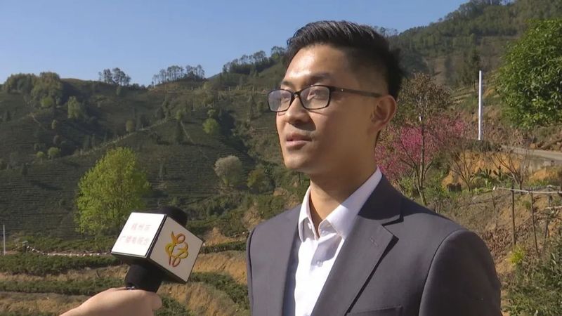 有关于广西梧州茶厂有限公司:小竹筐 凝聚六堡醇厚 装载茶农幸福的最新消息(7)