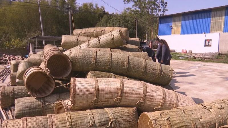有关于广西梧州茶厂有限公司:小竹筐 凝聚六堡醇厚 装载茶农幸福的最新消息