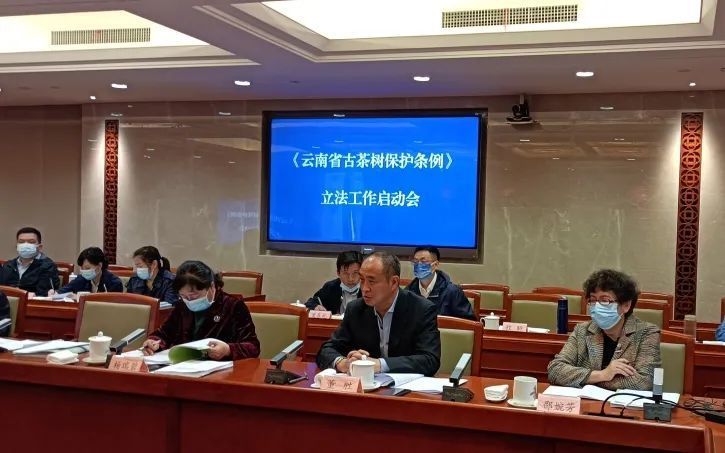 关于一周速读：茶叶进出口数据、春茶生产技术指导、多款名茶进入采摘的信息(7)