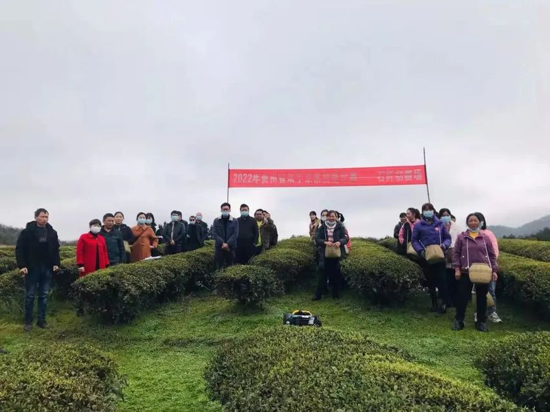 有关于双手蝶舞,采出致富路 石阡举办2022年双手采茶技能大赛初赛的消息(1)