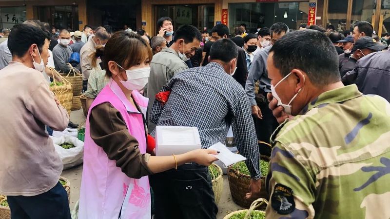 有关于找春天:不一样的春茶“风景”的信息(2)