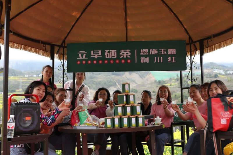 有关于找春天:不一样的春茶“风景”的信息(15)