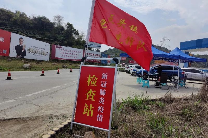 有关于找春天:不一样的春茶“风景”的信息(1)