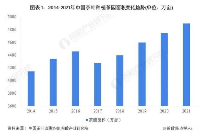 有关于2022年中国茶叶行业市场供给现状分析 茶叶产量再创新高的新闻