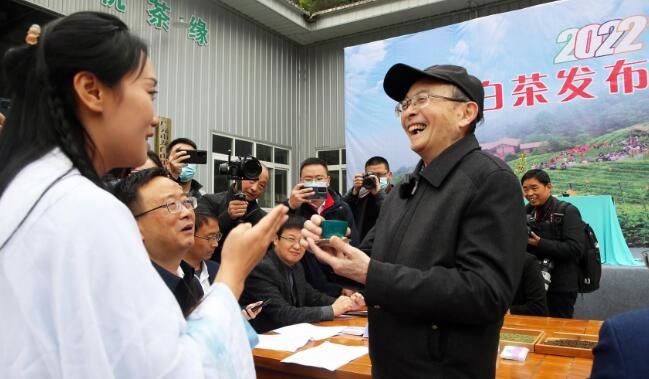 关于青川白茶正式上市今年将再种1700亩白茶的相关信息(2)
