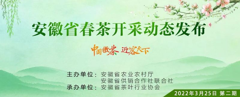 关于安徽省春茶开采动态发布(第二期)的新闻