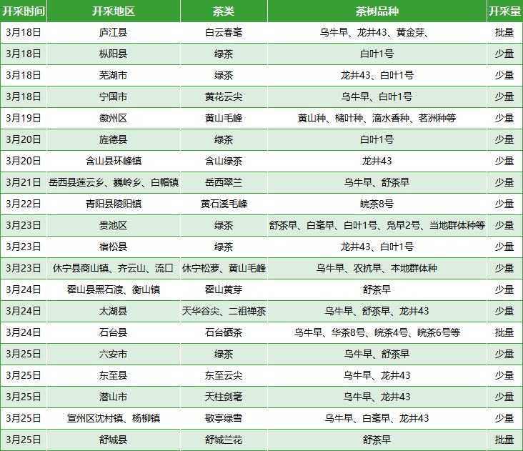 关于安徽省春茶开采动态发布(第二期)的新闻(2)