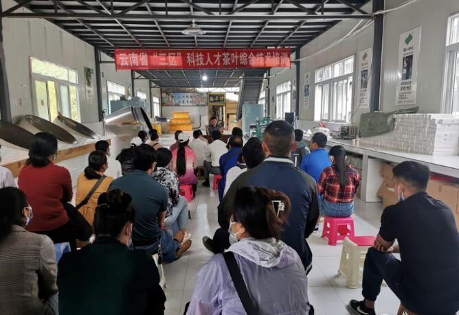 关于江城:开展茶叶技术加工培训 助推茶产业高质量发展的新闻