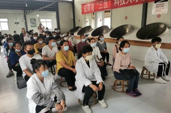 关于江城:开展茶叶技术加工培训 助推茶产业高质量发展的新闻(3)