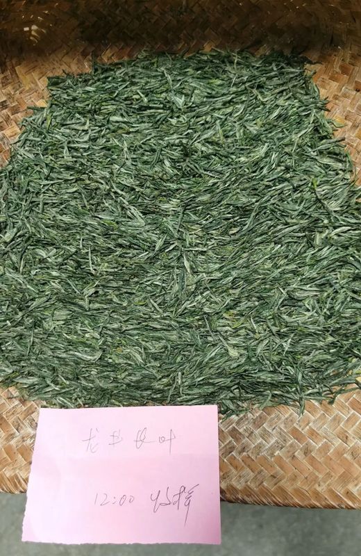 关于缺采摘工人,少上门客户,江苏春茶期待渡过“倒春寒”的相关信息(4)