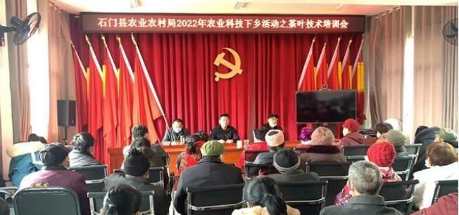 有关于石门:送科技下乡,推进茶产业健康发展的消息