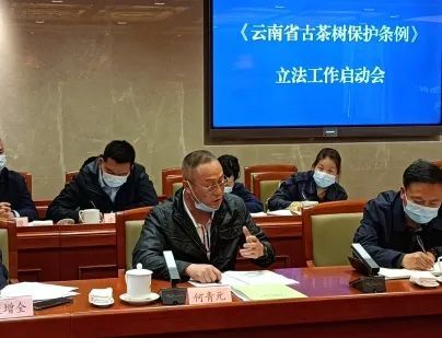 关于云南省人大召开《云南省古茶树保护条例》立法工作启动会的消息(4)