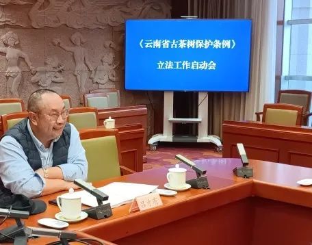 关于云南省人大召开《云南省古茶树保护条例》立法工作启动会的消息(3)