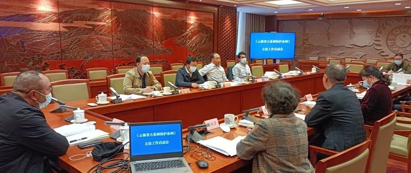 关于云南省人大召开《云南省古茶树保护条例》立法工作启动会的消息(5)