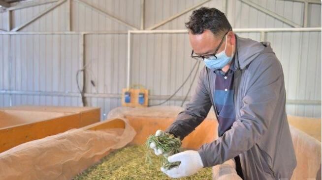 有关于“千年茶乡”保山昌宁31万亩春茶陆续开采的新闻(6)