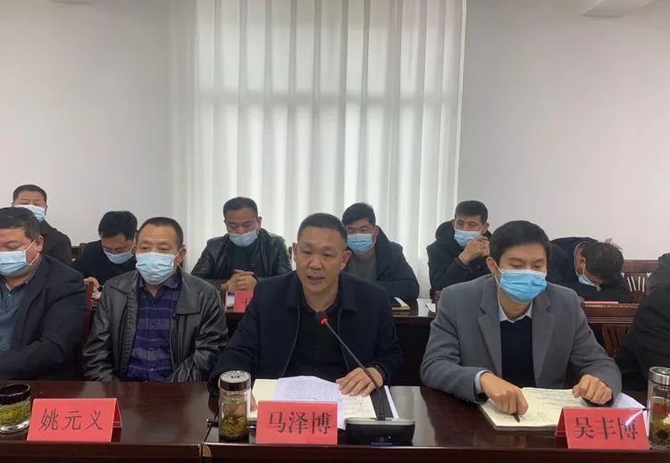 关于镇安县达仁镇召开茶叶产业发展座谈会的相关内容(3)