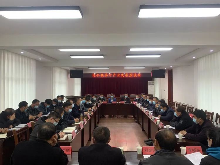 关于镇安县达仁镇召开茶叶产业发展座谈会的相关内容