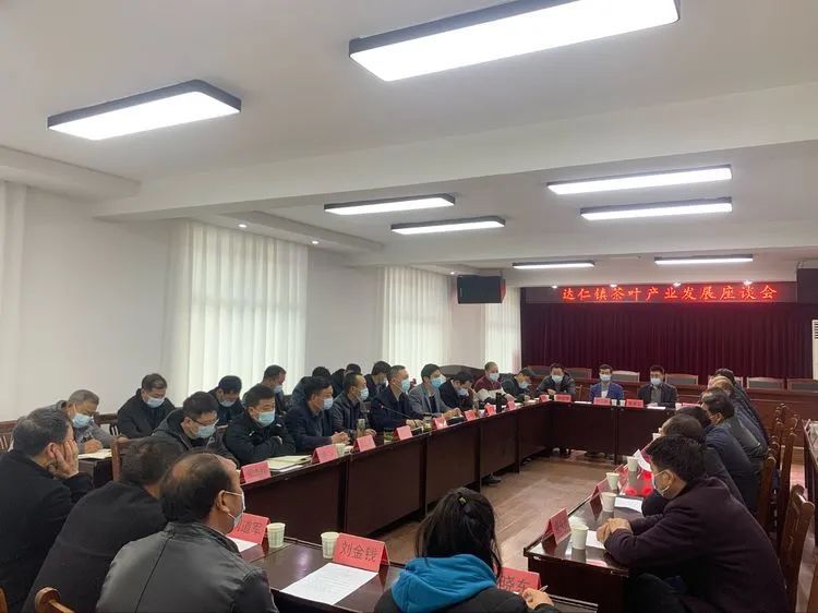 关于镇安县达仁镇召开茶叶产业发展座谈会的相关内容(2)